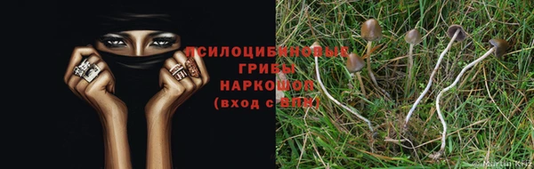 альфа пвп VHQ Бородино