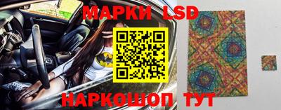 стафф Будённовск