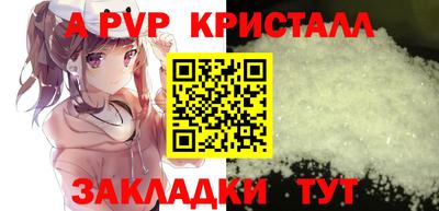 стафф Будённовск
