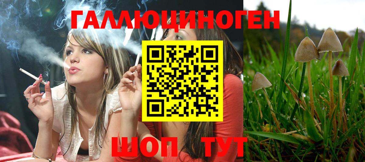 Псилоцибиновые грибы мухоморы Кисловодск