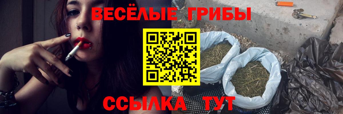 Кисловодск  Псилоцибиновые грибы Psilocybine cubensis  где найти наркотики  Вход с VPN 